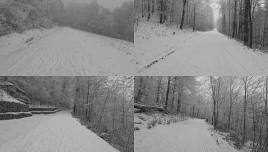 冬天森林积雪道路特写高清在线视频素材下载