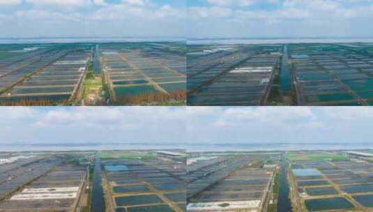 杭州钱塘区水产养殖场航拍延时高清在线视频素材下载