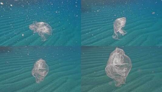 海洋垃圾漂浮高清在线视频素材下载