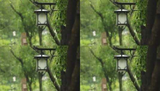 江南初夏下雨雨滴树叶空镜高清在线视频素材下载