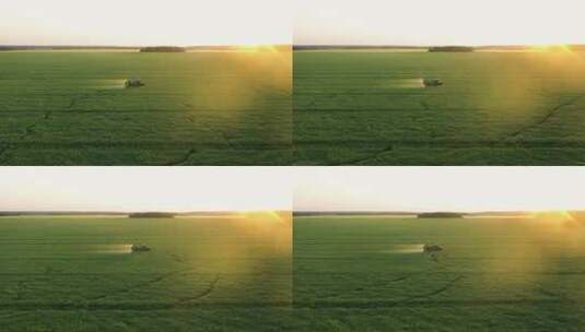 夕阳下田地里拖拉机为粮食作物施肥航拍高清在线视频素材下载