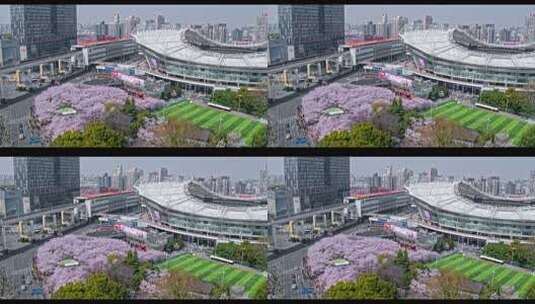 4K樱花航拍上海虹口足球场高清在线视频素材下载