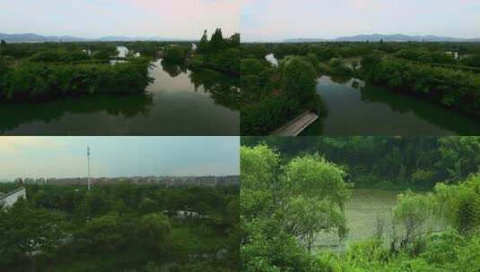 l1杭州西溪生态景观1高清在线视频素材下载