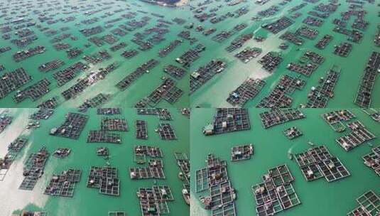 阳江海陵岛渔排海上人家高清在线视频素材下载