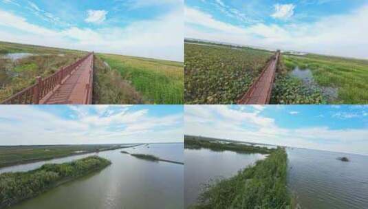 穿越机FPV航拍武汉沉湖国际湿地公园高清在线视频素材下载