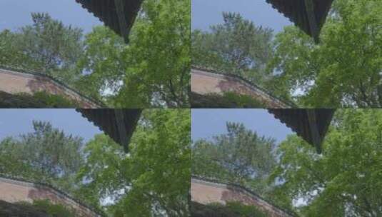 湖北武当山寺庙房檐仰拍地拍高清在线视频素材下载