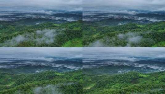 自然森林穿过云雾绿水青山航拍视频高清在线视频素材下载