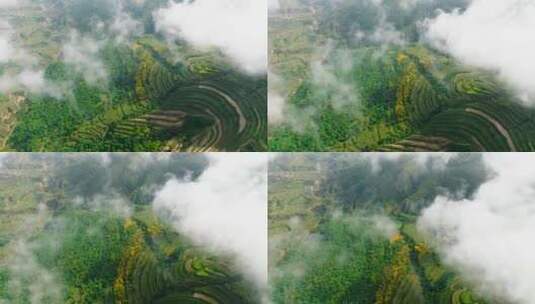 航拍黄土高原梯田植被地貌高清在线视频素材下载