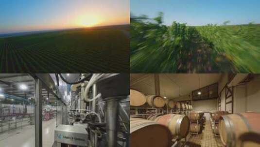 葡萄种植园红酒葡萄酒酒庄葡萄酒自动化工厂高清在线视频素材下载