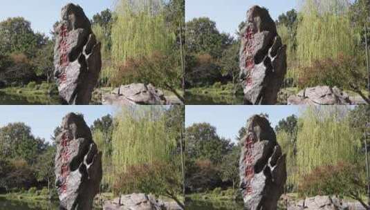 中国杭州西湖花港观鱼石碑高清在线视频素材下载