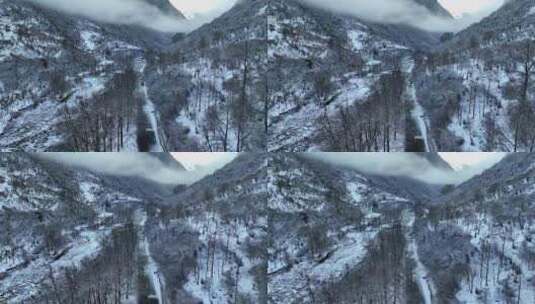 航拍四川阿坝四姑娘山双桥沟冬季雪景风光高清在线视频素材下载