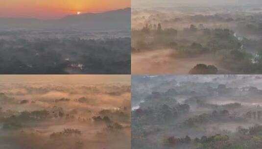 杭州西溪湿地初冬晨雾云雾缭绕（稀缺合集）高清在线视频素材下载