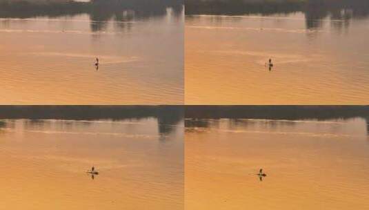 夕阳下金色河面上的小船高清在线视频素材下载
