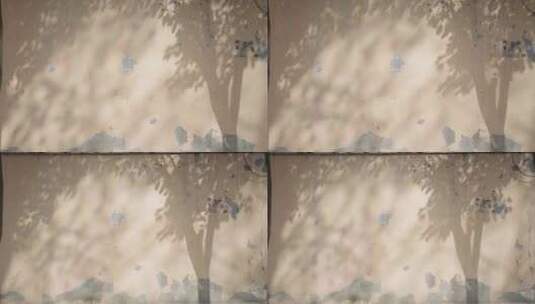 树木影子墙壁阳光斑驳树影意境写意空镜头高清在线视频素材下载