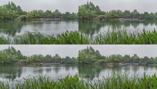 杭州西湖 浴鹄湾 春季景观 延时高清在线视频素材下载