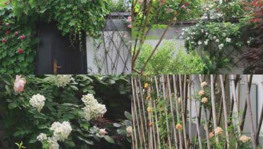 江南私家花园鲜花盛开 人间四月天（合集）高清在线视频素材下载