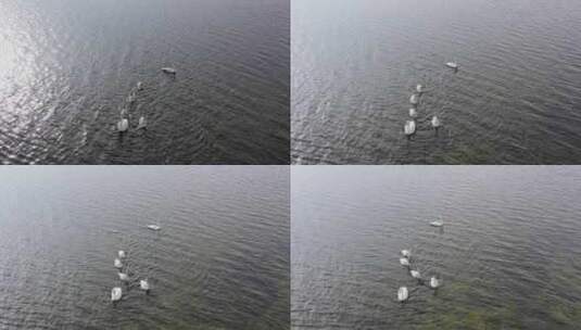 航拍中国河流湖泊高清在线视频素材下载