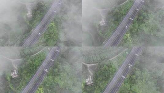 航拍贵州遵义湄潭山野田间夏季茶园风景高清在线视频素材下载