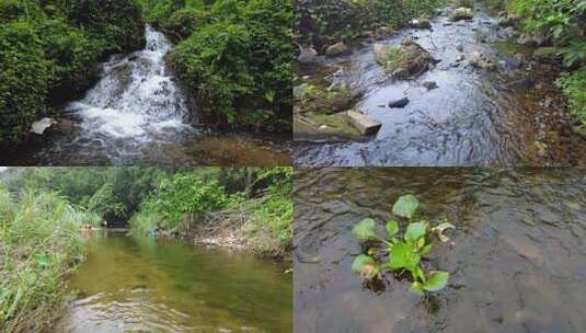 山间小溪水河流水阳光树林视频高清在线视频素材下载