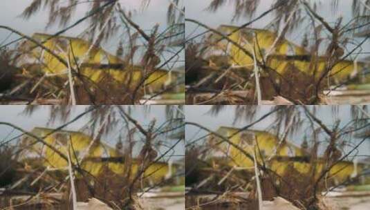 巴哈马多里安飓风造成的电线断裂和破坏高清在线视频素材下载