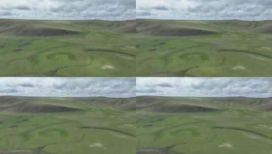 草原牧场羊群高清在线视频素材下载