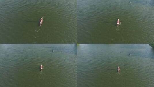 夏季桨板水上运动航拍高清在线视频素材下载