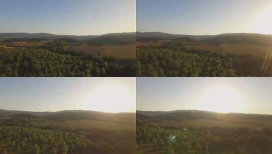 日落时分长满树木和植物的田野和山丘高清在线视频素材下载