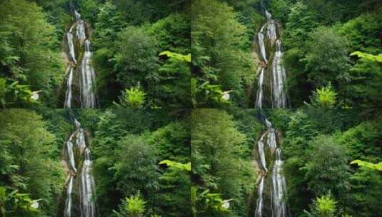 森林中的流动瀑布高清在线视频素材下载