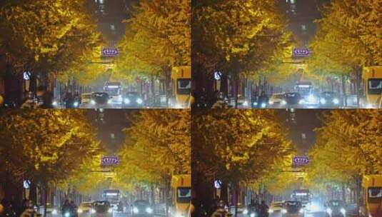 银杏树唯美 街道 都市生活高清在线视频素材下载
