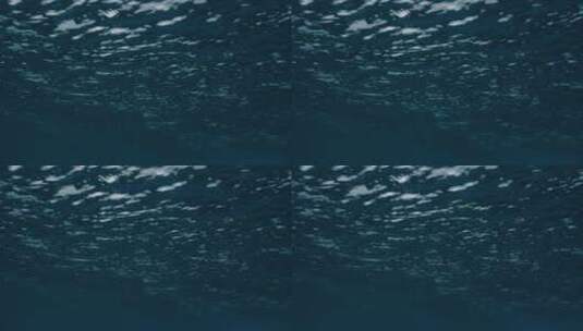海洋水下的景观高清在线视频素材下载