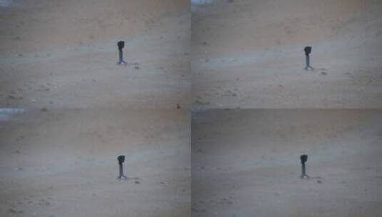 沙滩风沙中的大疆运动相机高清在线视频素材下载