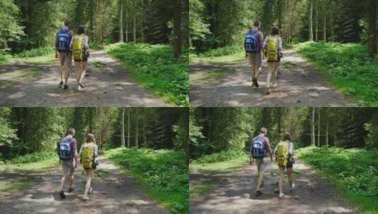 夫妇在森林里散步高清在线视频素材下载