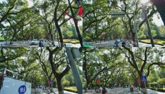 广西桂林城市道路绿树成荫的街道高清在线视频素材下载