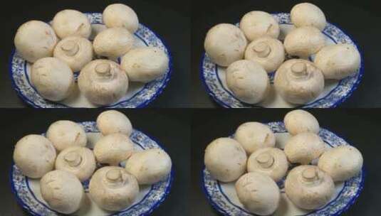 白蘑菇口菇高清在线视频素材下载