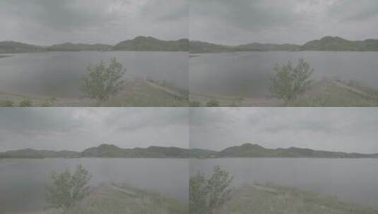 春季水库边缘的景色LOG高清在线视频素材下载