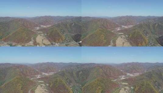 秋季山区枫红柞黄景色高清在线视频素材下载