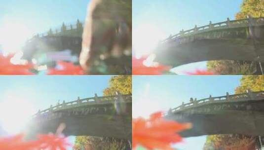 水中的枫叶高清在线视频素材下载