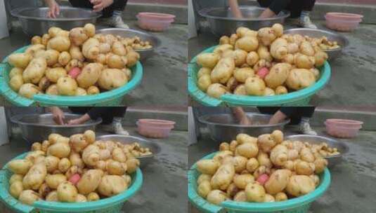 洗土豆马铃薯视频高清在线视频素材下载
