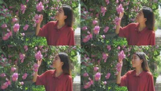中国女性路边观赏盛开的蔷薇花高清在线视频素材下载