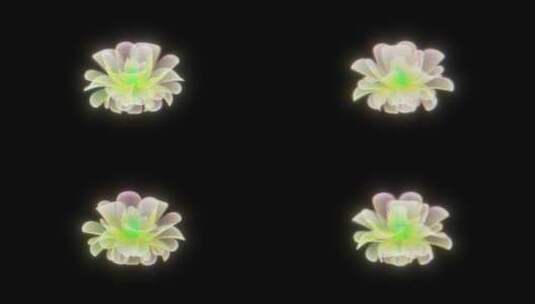 赛博朋克招牌正视花朵通道高清在线视频素材下载