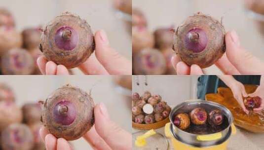 红芽芋头高清在线视频素材下载