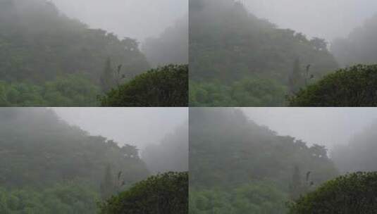 山林迷雾高清在线视频素材下载