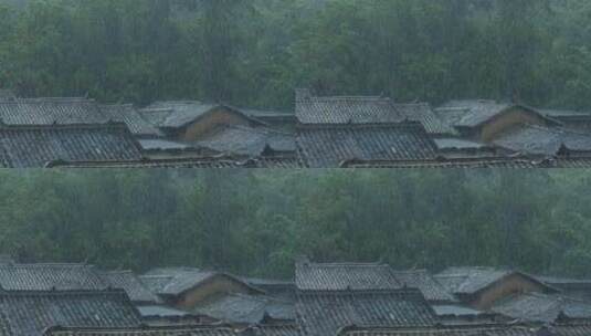 树林雨景高清在线视频素材下载