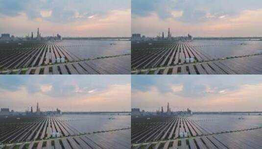 农田上的光伏太阳能发电夕阳下鸟瞰高清在线视频素材下载