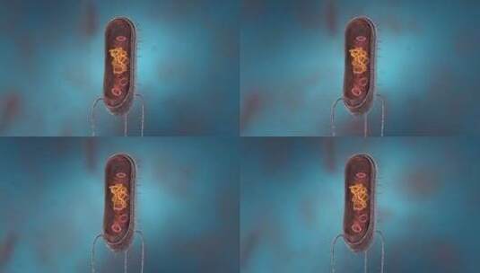 细菌真菌细胞微生物显微镜下病菌形态高清在线视频素材下载