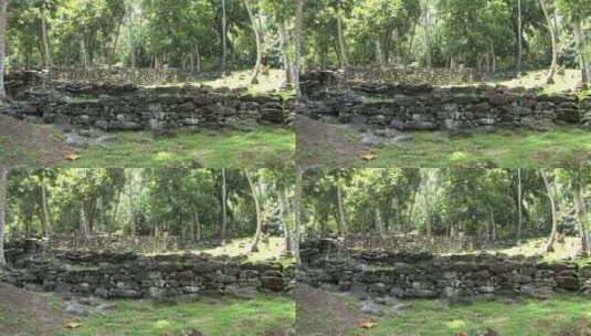 树林中堆积的石头墙高清在线视频素材下载