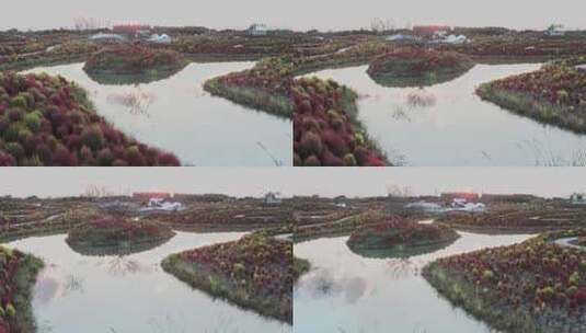 航拍上海花开海上生态园高清在线视频素材下载