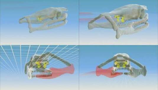 蛇头骨动画高清在线视频素材下载