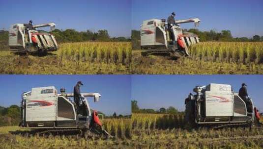 慢镜头收割稻田3高清在线视频素材下载