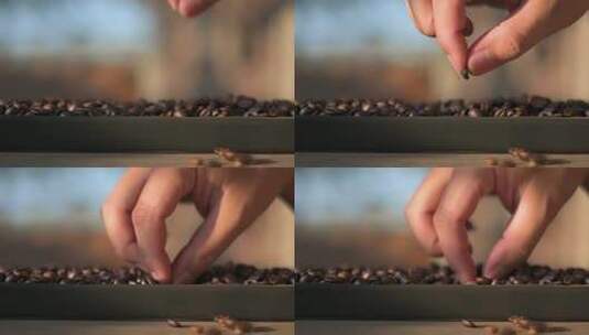 特写精挑细选咖啡豆高清在线视频素材下载